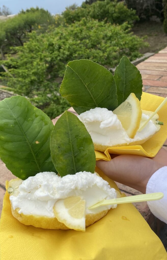 lemon sorbet in lemons in capri italy 